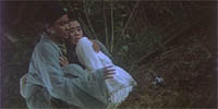 A Chinese Ghost Story