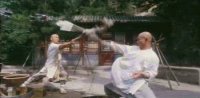 The Tai-Chi Master